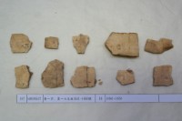 藏品(殷墟有字甲片)的圖片