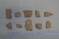 藏品(殷墟有字甲片)的圖片