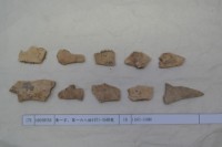 藏品(殷墟有字甲片)的圖片