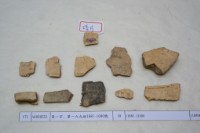 藏品(殷墟有字甲片)的圖片