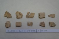 藏品(殷墟有字甲片)的圖片