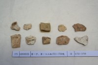 藏品(殷墟有字甲片)的圖片