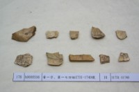 藏品(殷墟有字甲片)的圖片