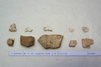 藏品(殷墟有字甲片)的圖片