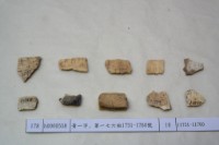 藏品(殷墟有字甲片)的圖片