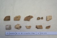 藏品(殷墟有字甲片)的圖片