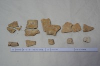 藏品(殷墟有字甲片)的圖片