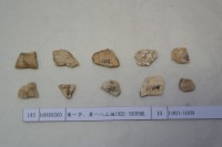 藏品(殷墟有字甲片)的圖片