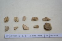 藏品(殷墟有字甲片)的圖片