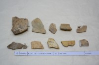 藏品(殷墟有字甲片)的圖片