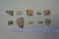 藏品(殷墟有字甲片)的圖片