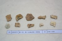 藏品(殷墟有字甲片)的圖片