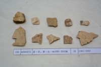 藏品(殷墟有字甲片)的圖片