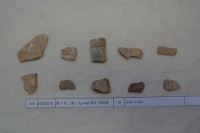 藏品(殷墟有字甲片)的圖片