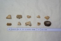 藏品(殷墟有字甲片)的圖片