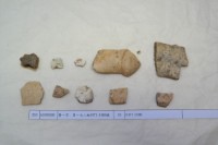 藏品(殷墟有字甲片)的圖片