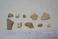 藏品(殷墟有字甲片)的圖片