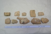 藏品(殷墟有字甲片)的圖片