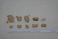 藏品(殷墟有字甲片)的圖片