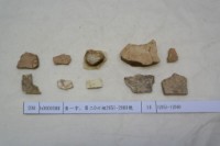 藏品(殷墟有字甲片)的圖片