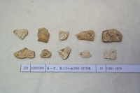 藏品(殷墟有字甲片)的圖片