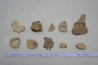 藏品(殷墟有字甲片)的圖片