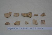 藏品(殷墟有字甲片)的圖片