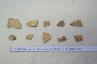 藏品(殷墟有字甲片)的圖片