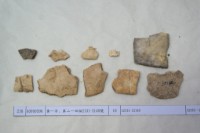 藏品(殷墟有字甲片)的圖片