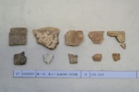 藏品(殷墟有字甲片)的圖片