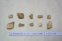 藏品(殷墟有字甲片)的圖片