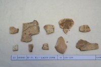 藏品(殷墟有字甲片)的圖片