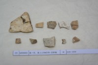 藏品(殷墟有字甲片)的圖片