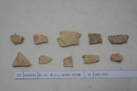 藏品(殷墟有字甲片)的圖片