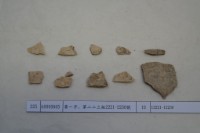 藏品(殷墟有字甲片)的圖片