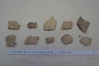 藏品(殷墟有字甲片)的圖片