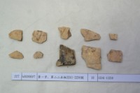 藏品(殷墟有字甲片)的圖片