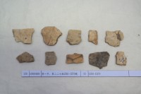 藏品(殷墟有字甲片)的圖片