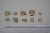 藏品(殷墟有字甲片)的圖片