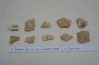 藏品(殷墟有字甲片)的圖片