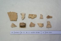 藏品(殷墟有字甲片)的圖片