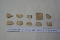 藏品(殷墟有字甲片)的圖片