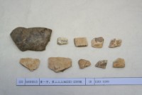 藏品(殷墟有字甲片)的圖片