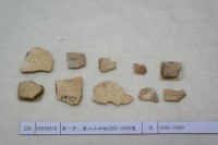 藏品(殷墟有字甲片)的圖片