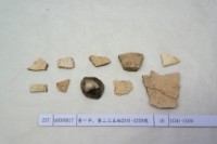 藏品(殷墟有字甲片)的圖片