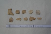 藏品(殷墟有字甲片)的圖片