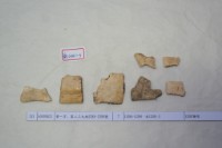 藏品(殷墟有字甲片)的圖片