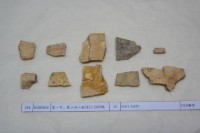 藏品(殷墟有字甲片)的圖片