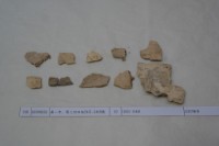 藏品(殷墟有字甲片)的圖片