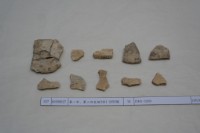 藏品(殷墟有字甲片)的圖片